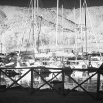 Cliquez sur la vignette pour obtenir l’agrandissement maximal.