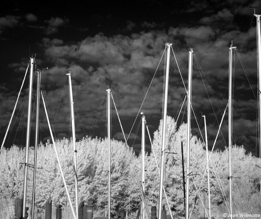 Forêt de mâts au Porto del Sole.Aube.27/08/2015 - 05:44.
