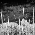 Cliquez sur la vignette pour obtenir l’agrandissement maximal.