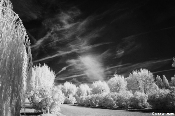 Sillons du perpétuel labourage aérien du ciel au-dessus du lac Trasimène.Parking de Tuoro-Navaccia.19/09/2015 - 07:49.