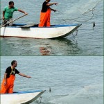 Cliquez sur la vignette pour obtenir l’agrandissement maximal.