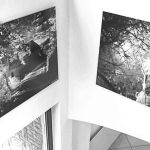 Cliquez sur la vignette pour obtenir l’agrandissement maximal.