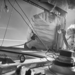 Cliquez sur la vignette pour obtenir l’agrandissement maximal.