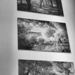 Cliquez sur la vignette pour obtenir l’agrandissement maximal.