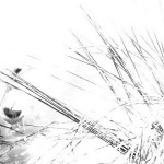 Cliquez sur la vignette pour obtenir l’agrandissement maximal.