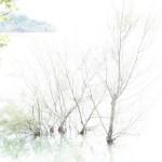 Cliquez sur la vignette pour obtenir l’agrandissement maximal.