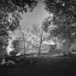 Cliquez sur la vignette pour obtenir l’agrandissement maximal.