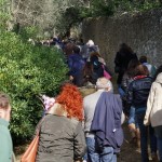 Clicca sulla miniatura per vedere l’ingrandimento.