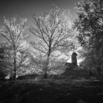 Cliquez sur la vignette pour obtenir l’agrandissement maximal.