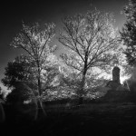 Cliquez sur la vignette pour obtenir l’agrandissement maximal.