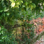 Cliquez sur la vignette pour obtenir l’agrandissement maximal.