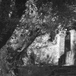 Cliquez sur la vignette pour obtenir l’agrandissement maximal.