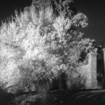 Cliquez sur la vignette pour obtenir l’agrandissement maximal.