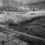 Cliquez sur la vignette pour obtenir l’agrandissement maximal.