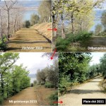 Cliquez sur la vignette pour obtenir l’agrandissement maximal.