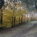 Cliquez sur la vignette pour obtenir l’agrandissement maximal.