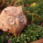 Cliquez sur la vignette pour obtenir l’agrandissement maximal.