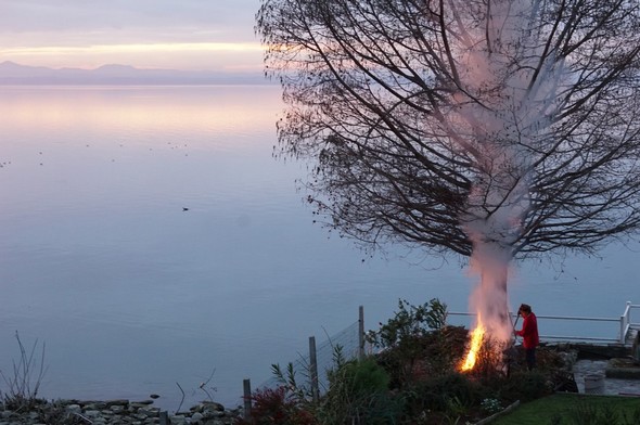 Le crépuscule s'affirme et la vision reste émouvante...