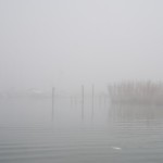 Cliquez sur la vignette pour obtenir l’agrandissement maximal.