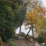 Cliquez sur la vignette pour obtenir l’agrandissement maximal.