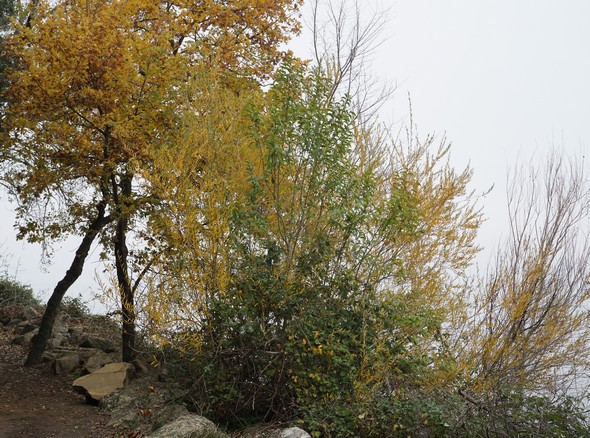 Détail de la vue précédente...