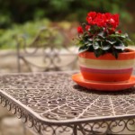 Cliquez sur la vignette pour obtenir l’agrandissement maximal.