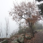 Cliquez sur la vignette pour obtenir l’agrandissement maximal.