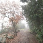 Cliquez sur la vignette pour obtenir l’agrandissement maximal.