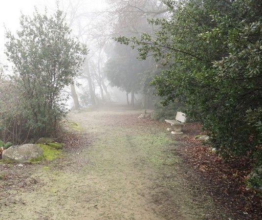 Au fond de la photo, on devine l'amorce de la partie "allée" du lungolago.