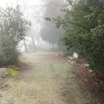 Cliquez sur la vignette pour obtenir l’agrandissement maximal.