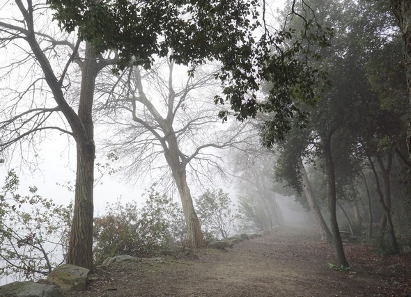 Le sentier est devenu un large chemin, quasi une "allée"...