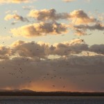 Cliquez sur la vignette pour obtenir l’agrandissement maximal.