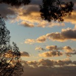 Cliquez sur la vignette pour obtenir l’agrandissement maximal.