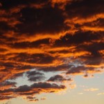 Cliquez sur la vignette pour obtenir l’agrandissement maximal.