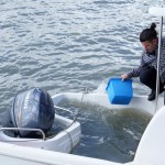 Cliquez sur la vignette pour obtenir l’agrandissement maximal.