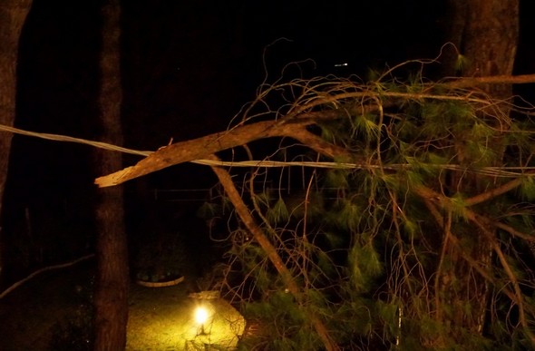 Une grosse branche d'un des superbes pins parasols situés juste devant notre façade avant vient d'être arrachée et s'est accrochée au cable électriquequi court devant notre façade.