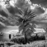 Cliquez sur la vignette pour obtenir l’agrandissement maximal.