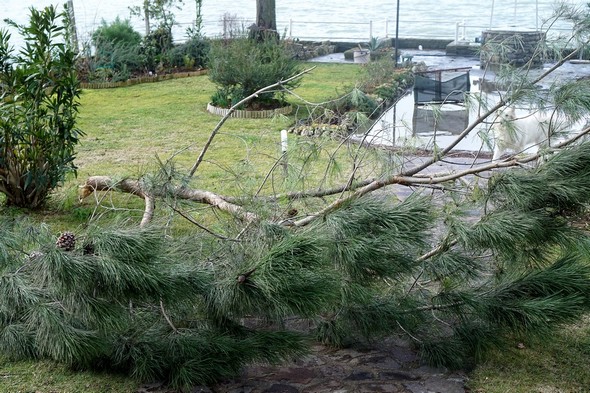 Un meilleur angle de vue sur le "bassin d'orage"...