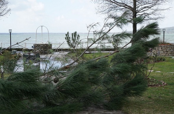 Sous cet angle, la branche dissimule partiellement l'habituel "bassin d'orage" qui se forme dans notre jardin lors des orages ou lors du franchissement de notre digue par des vagues trop fortes.