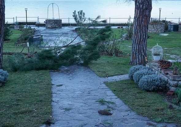 L'eau du bassin d'orage s'est retirée...