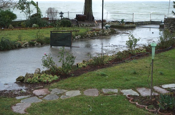 Le "bassin d'orage" de notre jardin a de nouveau bien rempli sa fonction de protection !