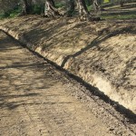 Cliquez sur la vignette pour obtenir l’agrandissement maximal.