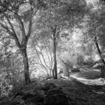 Cliquez sur la vignette pour obtenir l’agrandissement maximal.