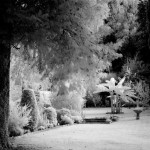 Cliquez sur la vignette pour obtenir l’agrandissement maximal.