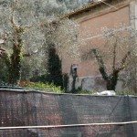 Cliquez sur la vignette pour obtenir l’agrandissement maximal.