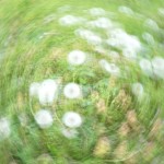 Cliquez sur la vignette pour obtenir l’agrandissement maximal.