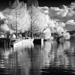 Cliquez sur la vignette pour obtenir l’agrandissement maximal.