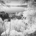 Cliquez sur la vignette pour obtenir l’agrandissement maximal.