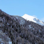 Cliquez sur la vignette pour obtenir l’agrandissement maximal.