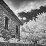 Cliquez sur la vignette pour obtenir l’agrandissement maximal.